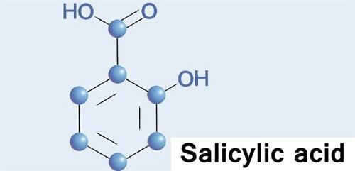 Hợp chất Salicylic acid làm dịu da, giúp lỗ chân lông thu nhỏ cho da mướt mịn