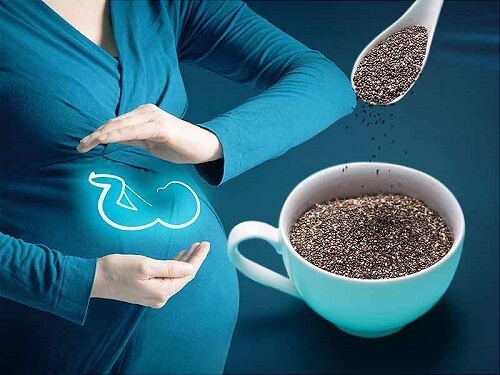 Hạt chia Úc là nguồn dinh dưỡng không thể thiếu trong thực đơn của mẹ bầu trước và sau khi sinh