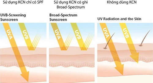 Neutrogena Sunscreen ngăn cản toàn bộ tia UVA, UVB, tạo lớp màng bảo vệ da một cách tuyệt đối
