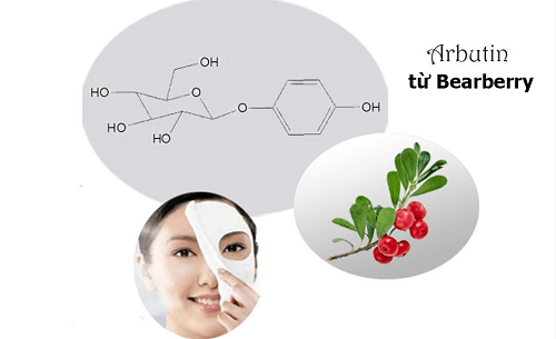 Sự có mặt của Bearberry giúp kem dưỡng da Lanopearl Himalaya gia tăng hiệu quả dưỡng trắng và trị nám