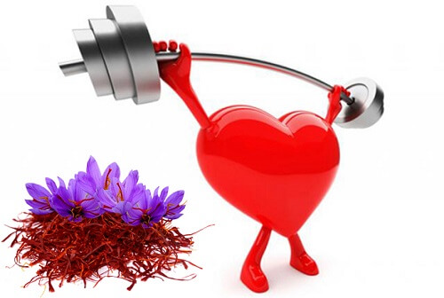 Nhụy hoa nghệ tây Tashrifat Saffron bổ sung dưỡng chất cho hệ tim mạch khỏe mạnh