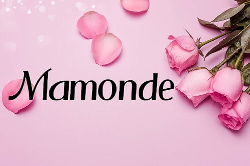 Mamonde - một trong những thương hiệu được tin dùng nhiều trên thị trường Châu Á