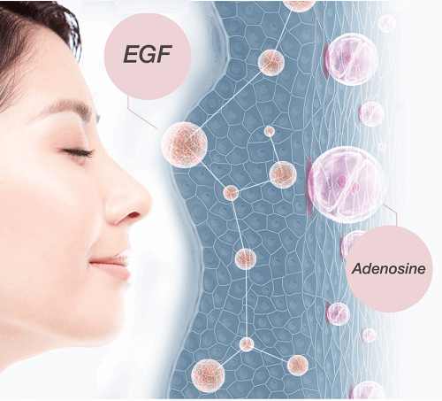Hợp chất EGF có trong Cathy Choo giúp da luôn căng bóng, tăng độ đàn hồi cho da tươi trẻ