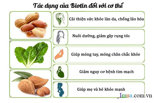 Biotin đem lại rất nhiều công dụng và cần thiết cho cơ thể khỏe mạnh và tươi trẻ