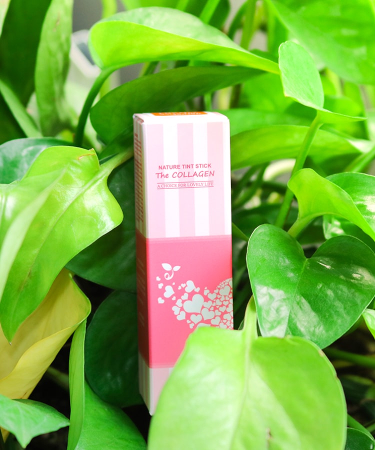 Son-Duong-Moi-co-mau-Ecosy-Nature-Tint-Stick-The-Collagen-4038.jpg